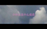 小什么流什么成语