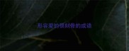 形容爱的很刻骨的成语
