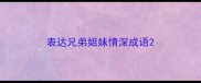 表达兄弟姐妹情深成语