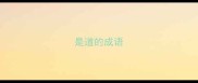 是道的成语