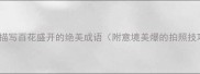 20个描写百花盛开的绝美成语附意境美爆的拍照技巧