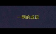 一网的成语