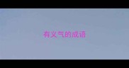 有义气的成语