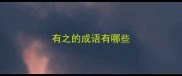有之的成语有哪些