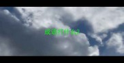 成语打什么