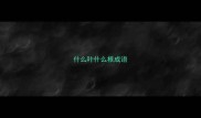 什么叶什么根成语