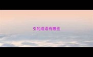 引的成语有哪些