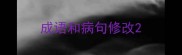 成语和病句修改