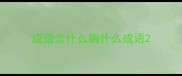 成语含什么胸什么成语