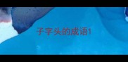 子字头的成语