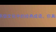 鱼雁传书古代书信文化中的经典成语你真的了解吗