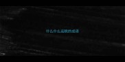 什么什么远眺的成语