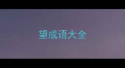 望成语大全