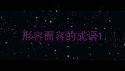 形容面容的成语
