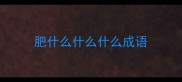 肥什么什么什么成语