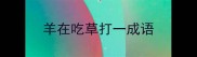 羊在吃草打一成语