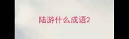 陆游什么成语