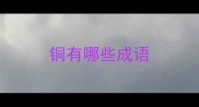 铜有哪些成语
