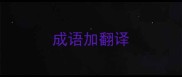 成语加翻译