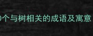 树德务滋荣30个与树相关的成语及寓意附全文详解