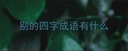 别的四字成语有什么