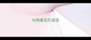 乌鸦拿花打成语