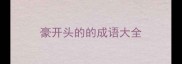 豪开头的的成语大全