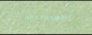 内什么外什么成语