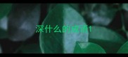 深什么的成语