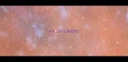 长什么什么善成语