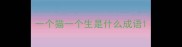 一个猫一个生是什么成语