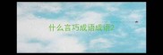 什么言巧成语成语