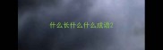 什么长什么什么成语