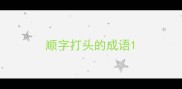 顺字打头的成语