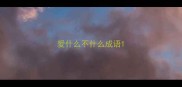 爱什么不什么成语