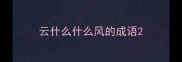 云什么什么风的成语
