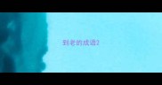 到老的成语