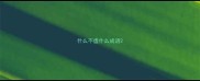 什么不虚什么成语