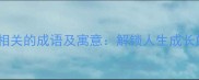 10个与远行相关的成语及寓意解锁人生成长的必读书单