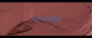 大开头字成语