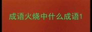 成语火烧中什么成语