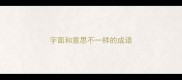 字面和意思不一样的成语