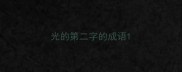 光的第二字的成语