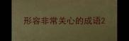 形容非常关心的成语