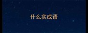 什么实成语