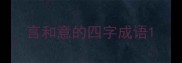 言和意的四字成语