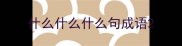什么什么什么句成语
