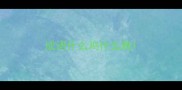 成语什么鸡什么舞