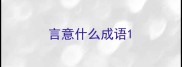 言意什么成语
