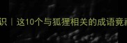 狐狸成语冷知识这10个与狐狸相关的成语竟藏着千年智慧